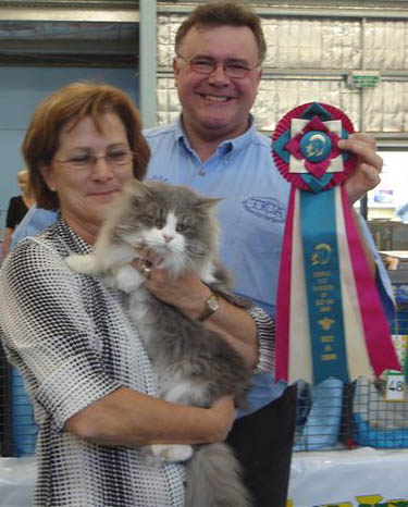 birman-show-may-2008-best-in-show-kurt-vlach1.jpg