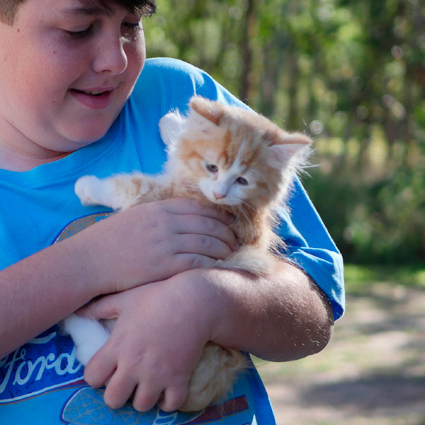 miakoshka-siberian-cats-with-children.jpg