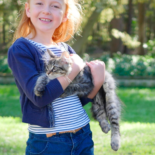 miakoshka-siberian-cats-with-girls.jpg