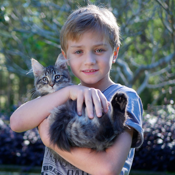 miakoshka-siberian-cats-with-kids.jpg