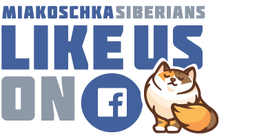 Miakoschka-FB-Logo-01.png